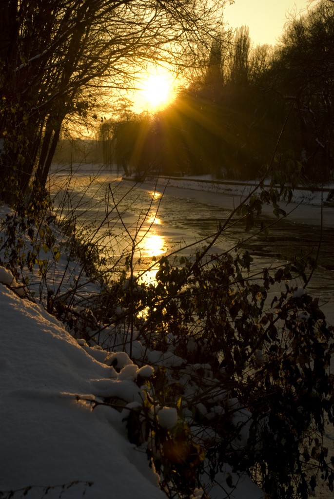 S_W_Landwehrkanal_Winter_I1-685x1024.jpg
