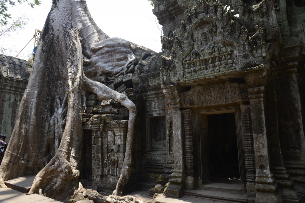 Ta_prohm_3-1024x683.jpg